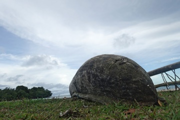 DSC08168a